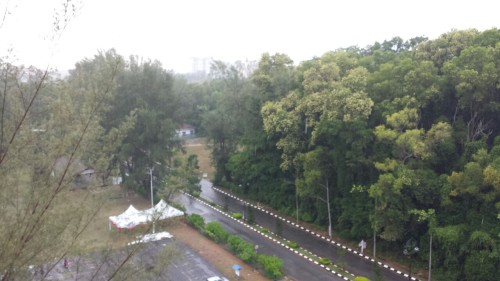 Some pictures of the land outside the Hotel, the first on a rainy day, the rest on a sunny day.
