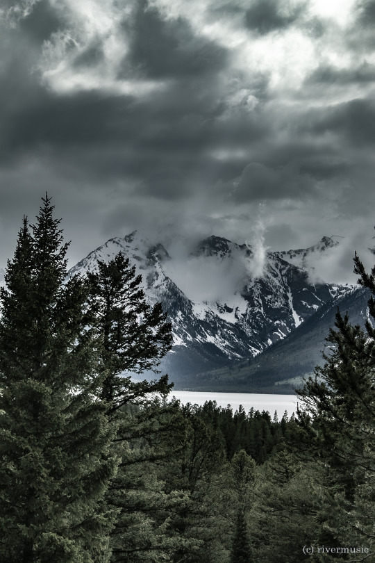 Along the Teton Front: (c) riverwindphotography, June, 2018