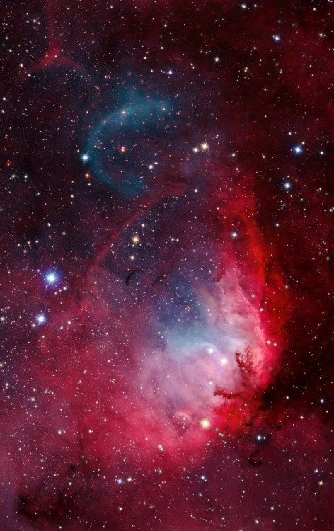 the-wolf-and-moon:  Sh2-101, The Tulip Nebula 