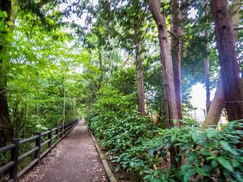 pikatru:mystayintokyo:Studio Ghibli Museum and Inokashira Parksomeone take me here