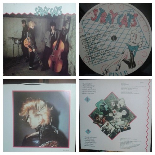 drinkthatbottledown:  fabiovermelho:  My Stray Cats’s first album arrived today! Original UK pressing from 1981, Arista Records. #records #vinyl #straycats #briansetzer #slimjimphantom #leerocker #rockabilly #neorockabilly #originalpressing #arista