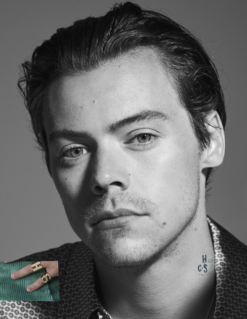 harrystylesdaily: Harry Styles for The Face. Photography by Collier Schorr.Order here