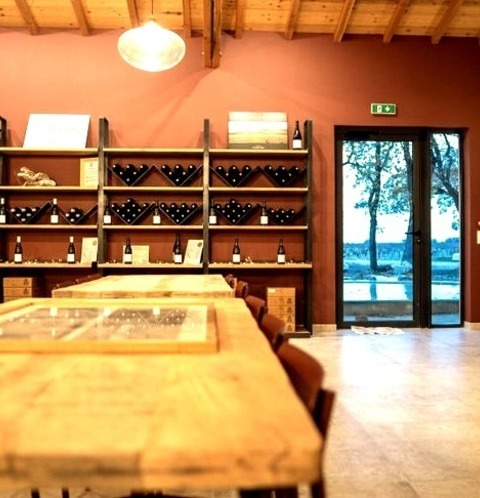 Wine Cellar - Wine Cellar