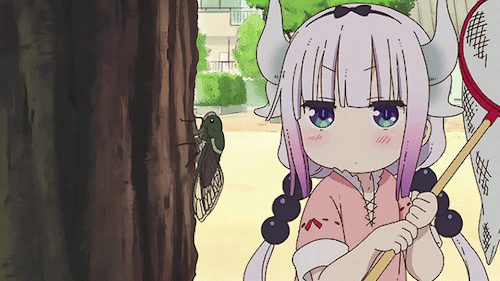 eminaanimeme:  Compilation of Kanna eating innocent creatures