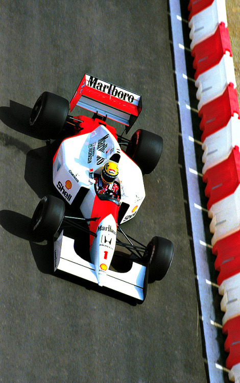 f1championship: Ayrton Senna