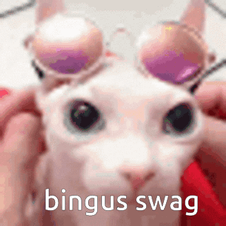 Reply to this thread and I'll tell you where you are on the Bingus