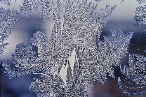 deeperstateofmind:   sweet-plush-rump:  mischiefinthesnow:  jaclcfrost:  do you ever take a minute to appreciate the frost on windows and whatnot  like  do you ever stop to look at this like really look at it  before it melts or you defrost your car so