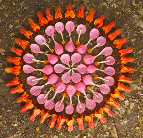 gaksdesigns:  Flower Mandalas by Arizona-based artist Kathy Klein. More here