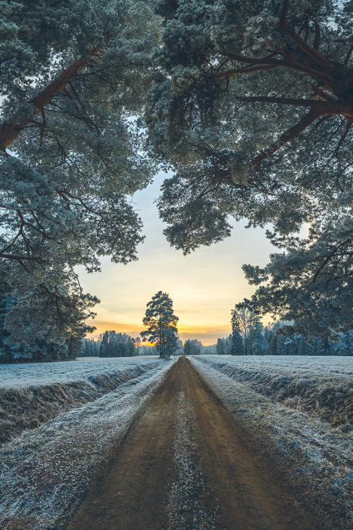 Sex expressions-of-nature:  by Lashkov Fedor pictures