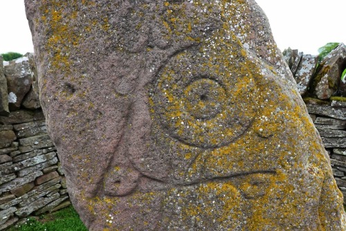 The Serpent Stone, Aberlemno Pictish Stones, Aberlemno, Angus, 20.5.18.On the front of this stone is