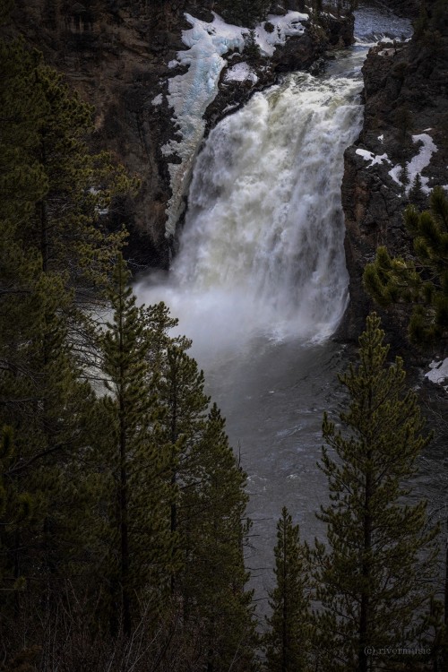 riverwindphotography: The Upper Falls of the Yellowstone River thunder into the wind; Yellowstone Na