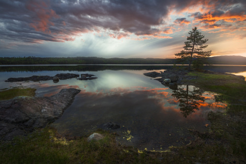enchanting-landscapes: The Survivor II by Ole Henrik Skjelstad