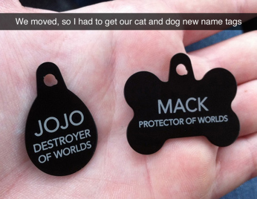 Porn photo tastefullyoffensive:  Funny Pet Collar Tags