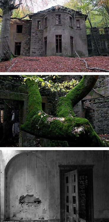 dichotomized:  Deep in the forests of Aberdeenshire, Scotland, this abandoned mansion