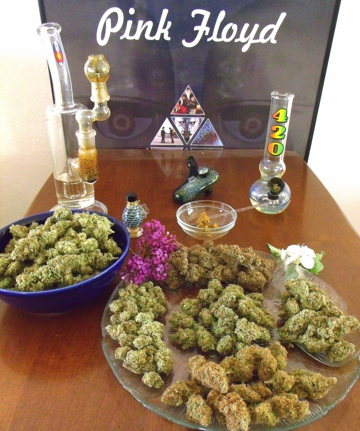 sharedrugswithme:  love-nd-kush:  This picture’s damn perfect, everything from