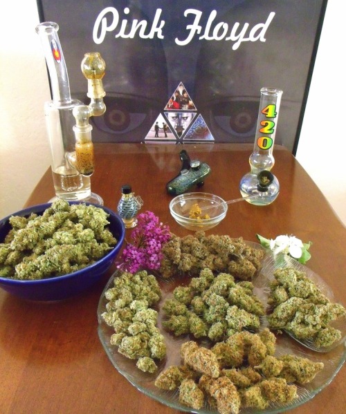 420stationusa: Stay High And Follow For More!! Roll it up you and I get high together