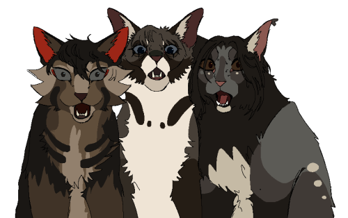 The Apprentices And Those Guys They May Or May Not Like