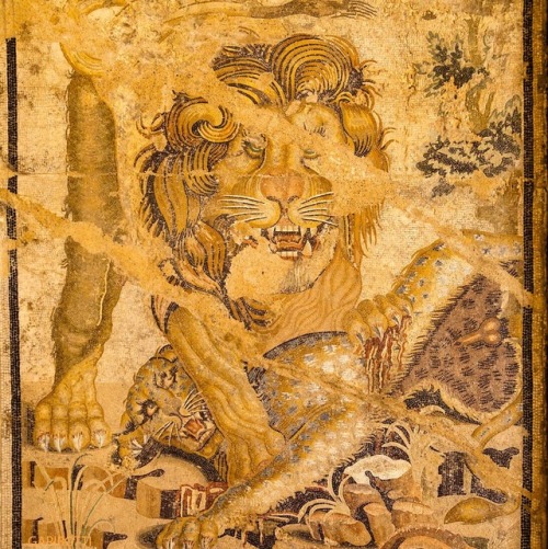 noragaribotti:Museo Archeologico Nazionale Napoli-A partially intact Roman mosaic depicting a lion a