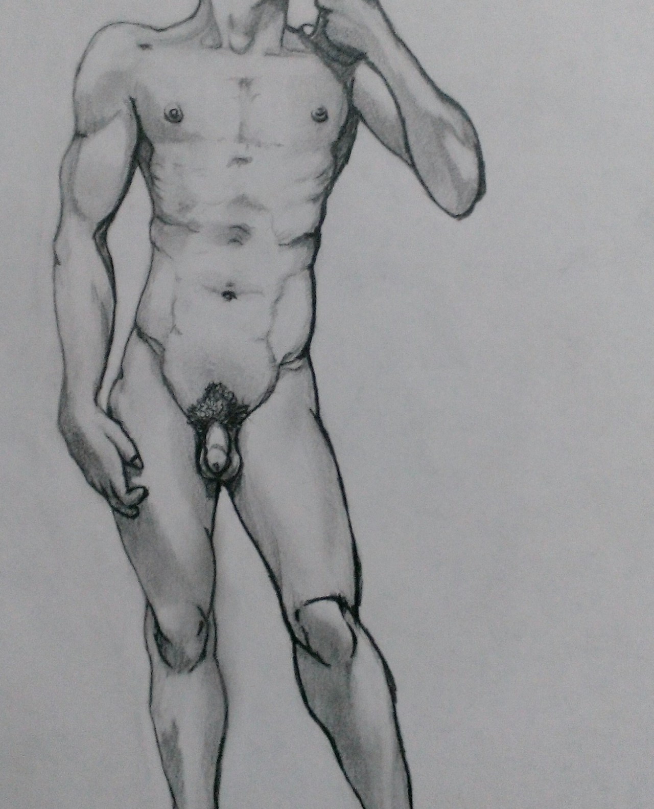 thepicketysatyr:David of course