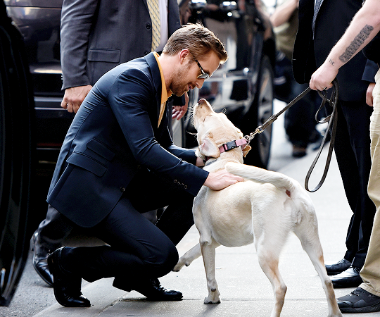 delevingned:  Ryan Gosling arrives at The Late Show with Stephen Colbert in NYC