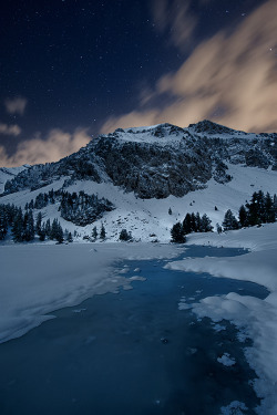 brutalgeneration:  Moonlight (by David Martin