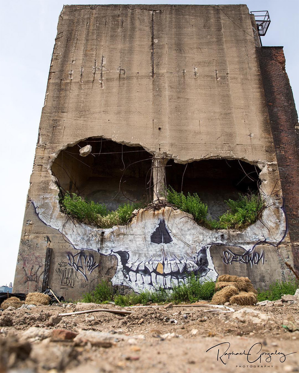 88floors:Skull by Suitswon