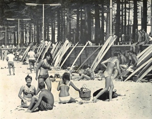 Surfers on Sydney beach