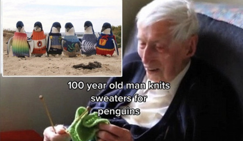 Alfred Date Learned How To Knit In 1932.