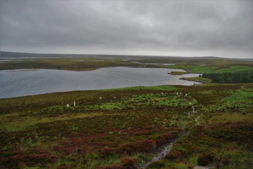 Phobull Fhinn with its beautiful heather moorland, North Uist, Western Isles - this stone circle sta