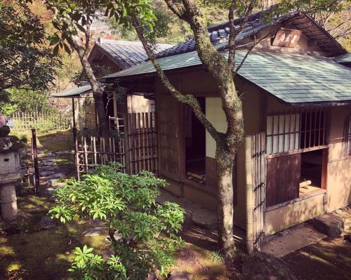 ＼秋の庭園公開情報：開催中！／ 京都市右京区高雄の #世界遺産 寺院『高山寺』にて、#七代目小川治兵衛 の作庭した『遺香庵』の庭園が特別公開されています。期間は11/1[金]～12/1[日]。 庭園は