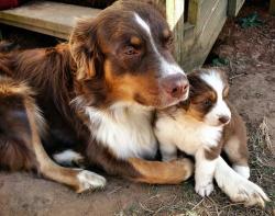 cute-overload:  Father & Daughterhttp://cute-overload.tumblr.com