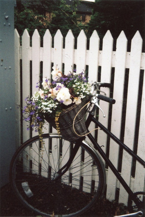 http://evermemories.tumblr.com/post/84902438074