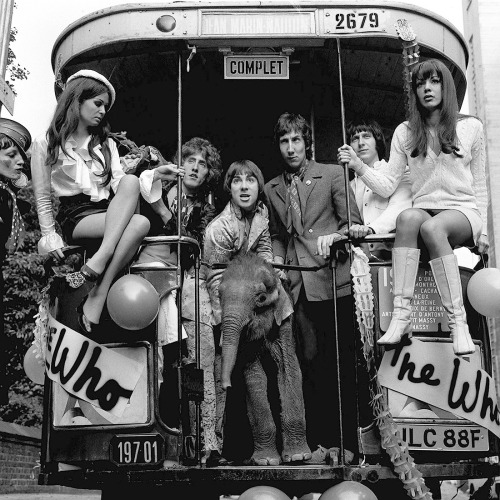 The Who