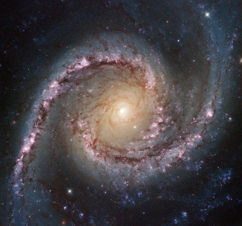 Grand Swirls from NASAs Hubble js