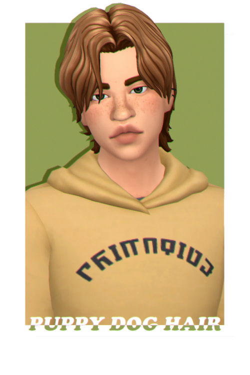 cupidfizz: PUPPY DOG HAIRi am absolutely in love with this hair, and i also adore @qwertysims &lsquo