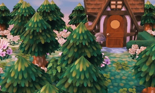 mayorbrewster:updated moss’s dream address out of winter!5A00-0029-0C63