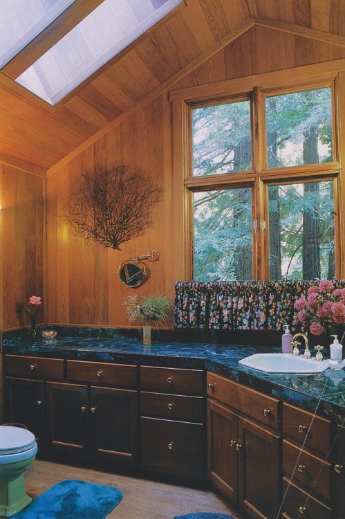 vintageimagecollection - Skylights help a lot in a wood-paneled...