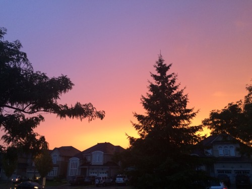 scottmkcall:  it was raining and i got wet, but it was worth it