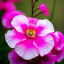 florys-stuff