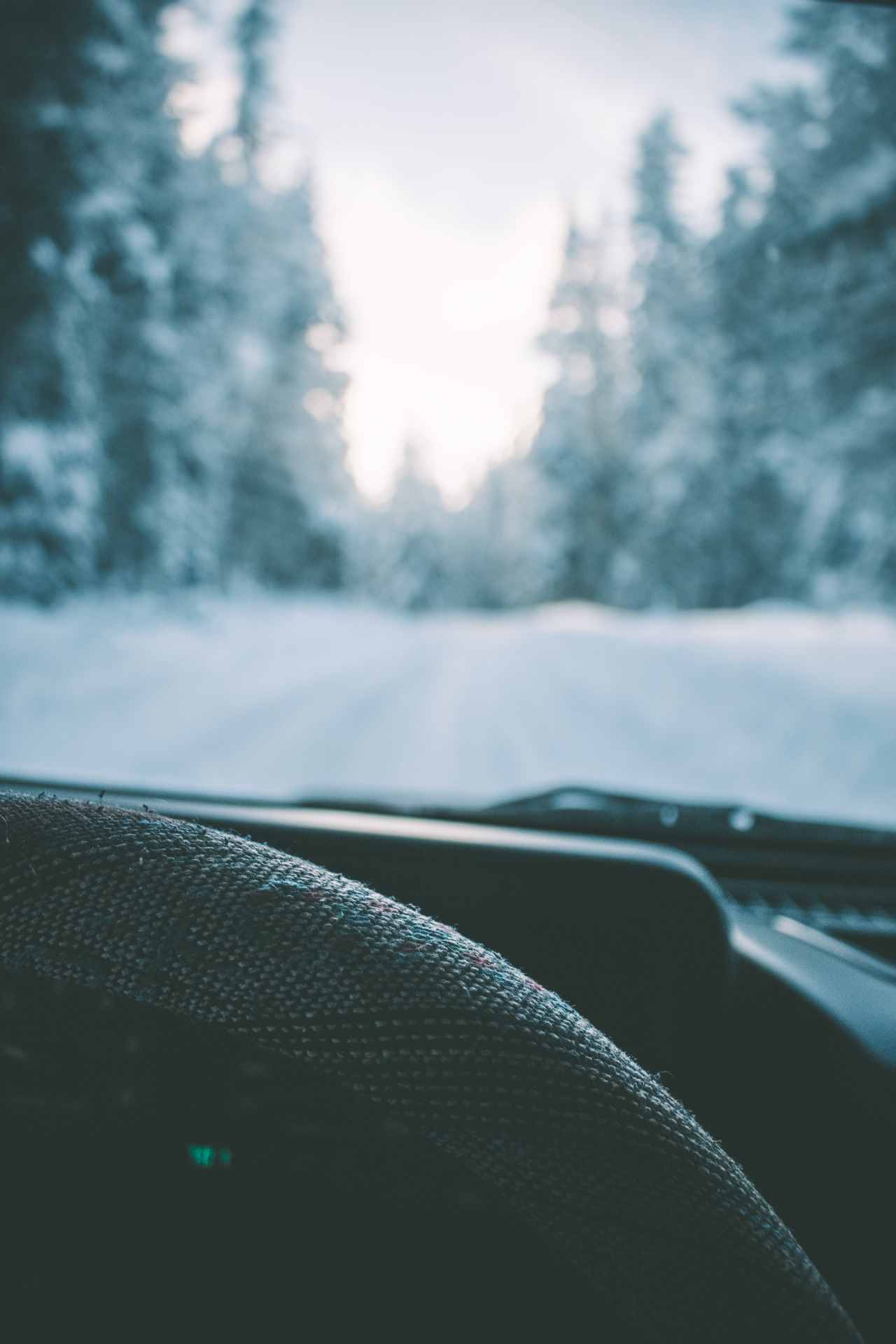 hannahkemp:  Snowy Drives//Washington December 2016