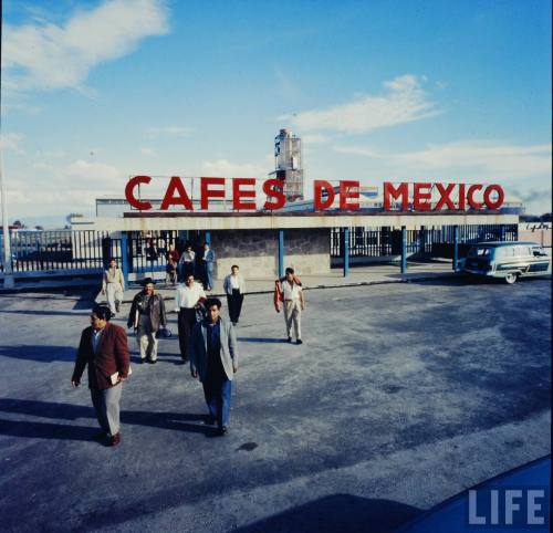 Mexico City(Frank Scherschel. 1960?)
