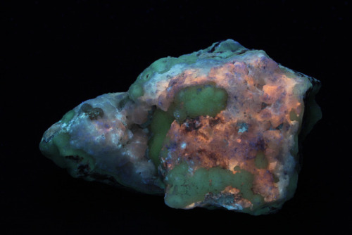 arockmaniac:Druzy/agatey rock from unknown location shown under mid-wave ultraviolet, short wave ult