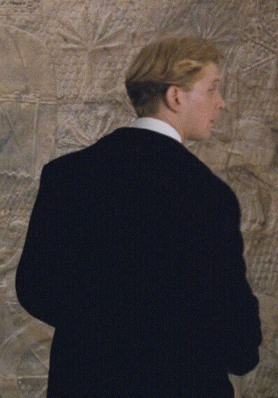 fermencja:Turning, turning… James Wilby in Maurice (1987)