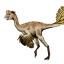 unofficial-oviraptors