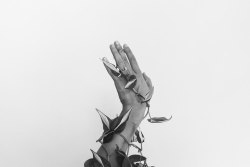 stephaniedolen:hand studies, october 8