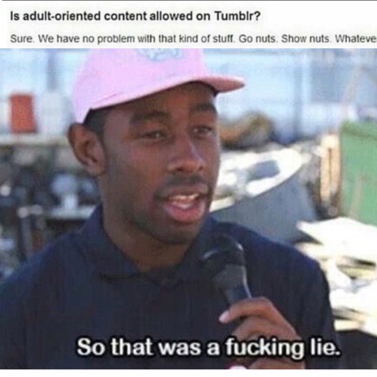 celticpyro: freshest-memes:  Go nuts. Show nuts. But no female-presenting nipples.