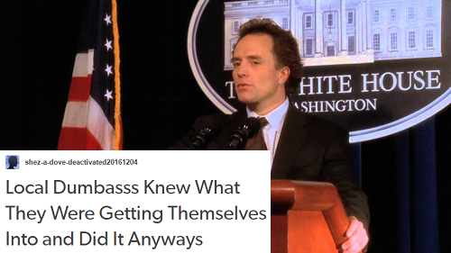 darlingdreamingtree:The West Wing + tumblr