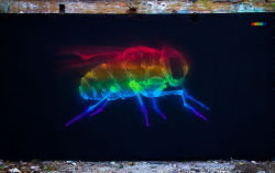 lolthefunniest:  escapekit:  X-Rainbow Street artist Shok-1 latest work in the city of London.   i love it when i get art on my tumblr radar