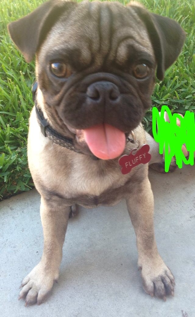 My child is da cutest tbh