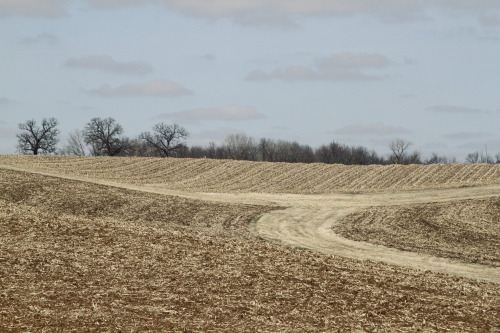 highways-are-liminal-spaces:Driving west on I-80 along the Platte RiverTaken April 2022